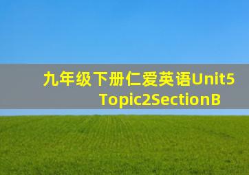 九年级下册仁爱英语Unit5Topic2SectionB