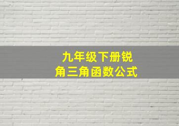 九年级下册锐角三角函数公式