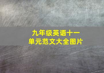 九年级英语十一单元范文大全图片