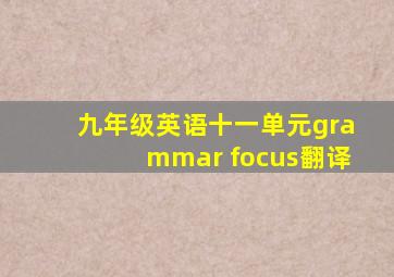 九年级英语十一单元grammar focus翻译