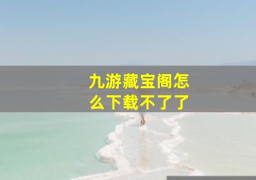 九游藏宝阁怎么下载不了了