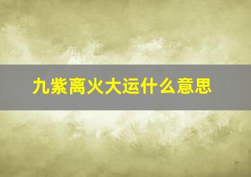 九紫离火大运什么意思