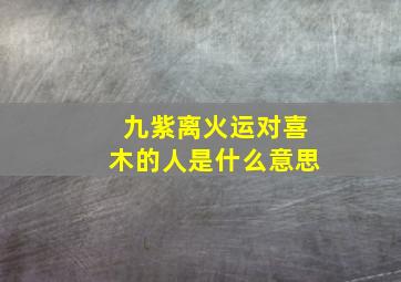 九紫离火运对喜木的人是什么意思