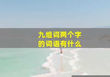 九组词两个字的词语有什么