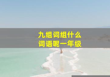 九组词组什么词语呢一年级