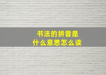 书法的拼音是什么意思怎么读