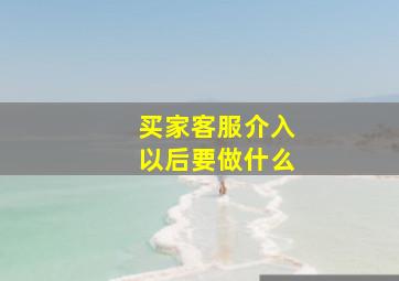 买家客服介入以后要做什么