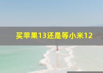 买苹果13还是等小米12