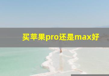 买苹果pro还是max好