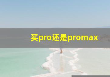 买pro还是promax