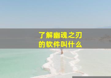 了解幽魂之刃的软件叫什么