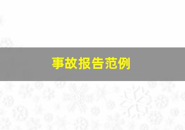 事故报告范例