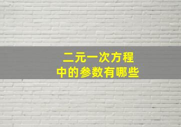 二元一次方程中的参数有哪些