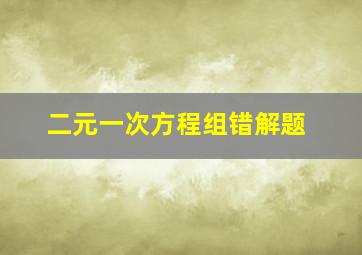 二元一次方程组错解题