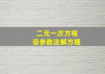 二元一次方程设参数法解方程