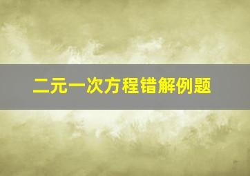 二元一次方程错解例题