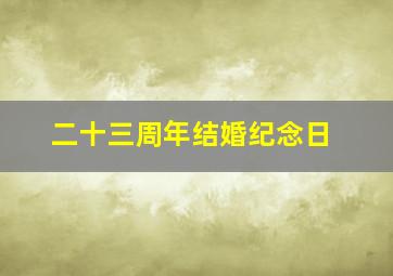 二十三周年结婚纪念日