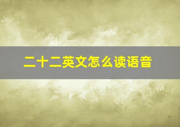 二十二英文怎么读语音