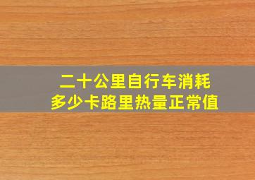 二十公里自行车消耗多少卡路里热量正常值