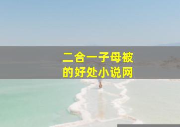 二合一子母被的好处小说网