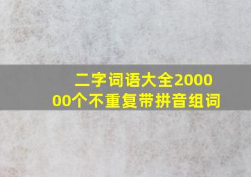 二字词语大全200000个不重复带拼音组词