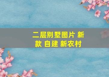 二层别墅图片 新款 自建 新农村