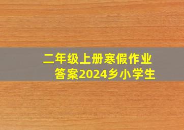 二年级上册寒假作业答案2024乡小学生