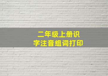 二年级上册识字注音组词打印