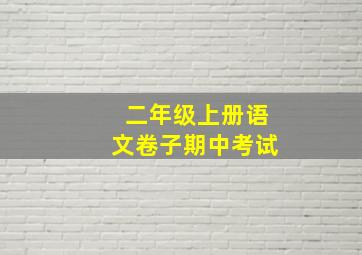 二年级上册语文卷子期中考试