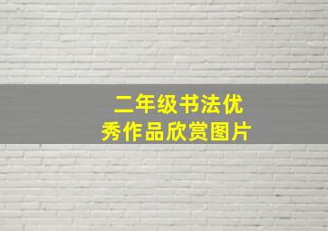 二年级书法优秀作品欣赏图片