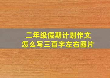 二年级假期计划作文怎么写三百字左右图片