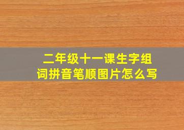 二年级十一课生字组词拼音笔顺图片怎么写