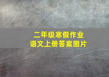 二年级寒假作业语文上册答案图片