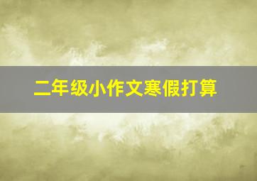 二年级小作文寒假打算