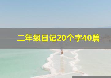 二年级日记20个字40篇