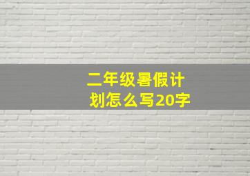 二年级暑假计划怎么写20字