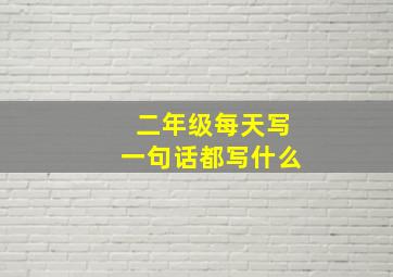 二年级每天写一句话都写什么