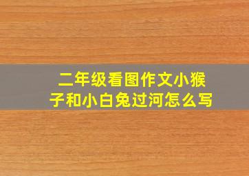 二年级看图作文小猴子和小白兔过河怎么写