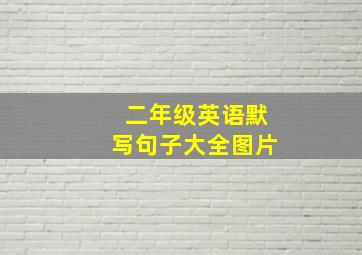 二年级英语默写句子大全图片