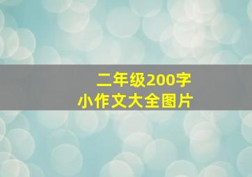 二年级200字小作文大全图片