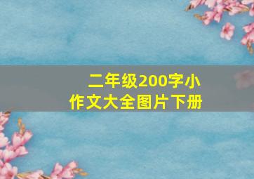 二年级200字小作文大全图片下册