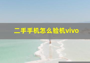 二手手机怎么验机vivo