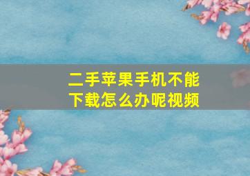 二手苹果手机不能下载怎么办呢视频