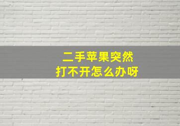 二手苹果突然打不开怎么办呀