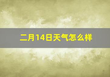 二月14日天气怎么样