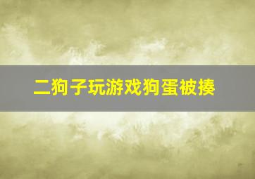 二狗子玩游戏狗蛋被揍