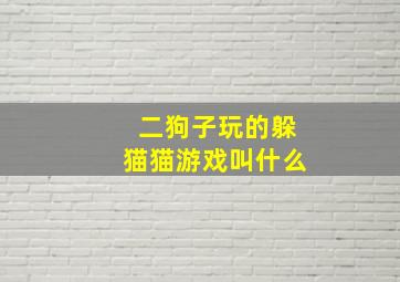 二狗子玩的躲猫猫游戏叫什么