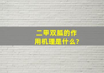 二甲双胍的作用机理是什么?