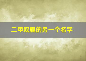 二甲双胍的另一个名字