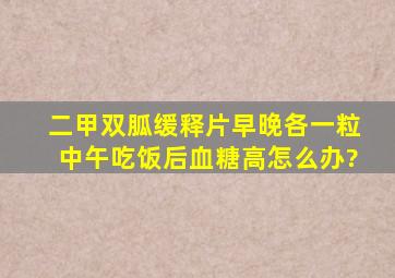 二甲双胍缓释片早晚各一粒中午吃饭后血糖高怎么办?